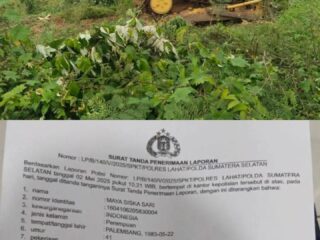 Warga Lahat Laporkan Penggusuran Lahan Tanpa Izin, Diduga Gunakan Buldoser, Kerugian Capai Rp5 Milyar